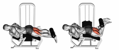 Lying leg curls