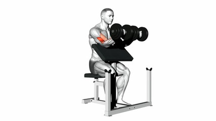Preacher curls