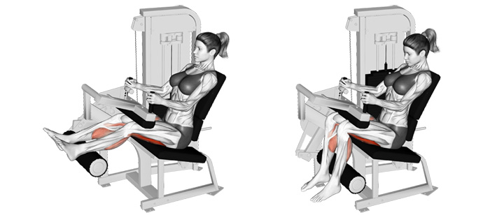 Seated leg curls