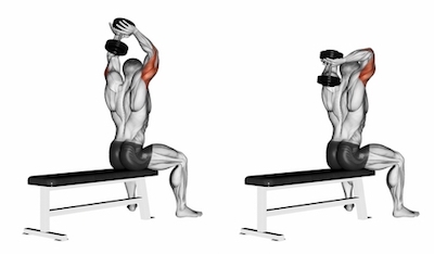 Seated triceps press