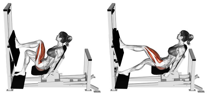 Single-Leg Press