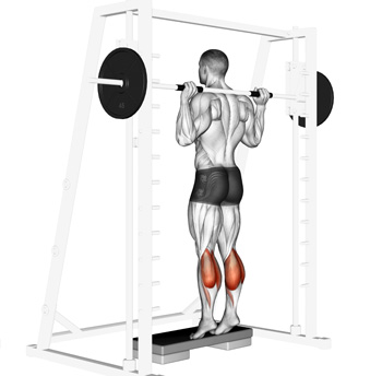 Smith Machine calf raise