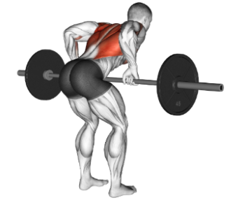 Bent Over Barbell Rows